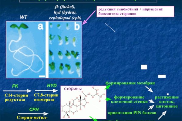 Кракен телеграмм магазин