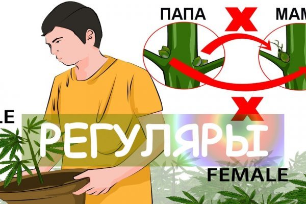 Кракен зеркало рабочее на сегодня