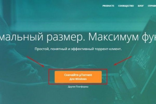 Рабочие ссылки и зеркала кракен
