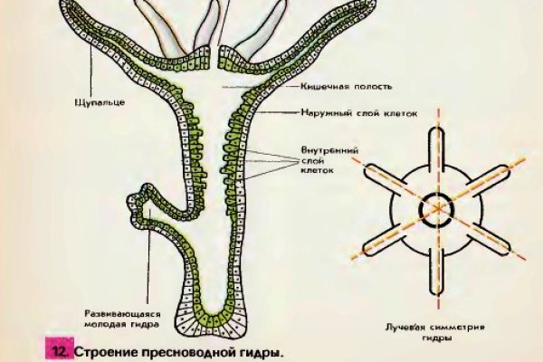 Кракен даркнет слушать